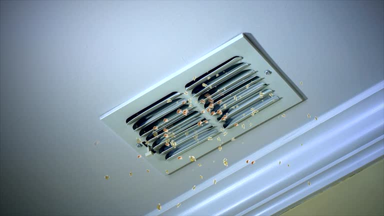 Best Duct Cleaning for Offices  in De Graff, OH